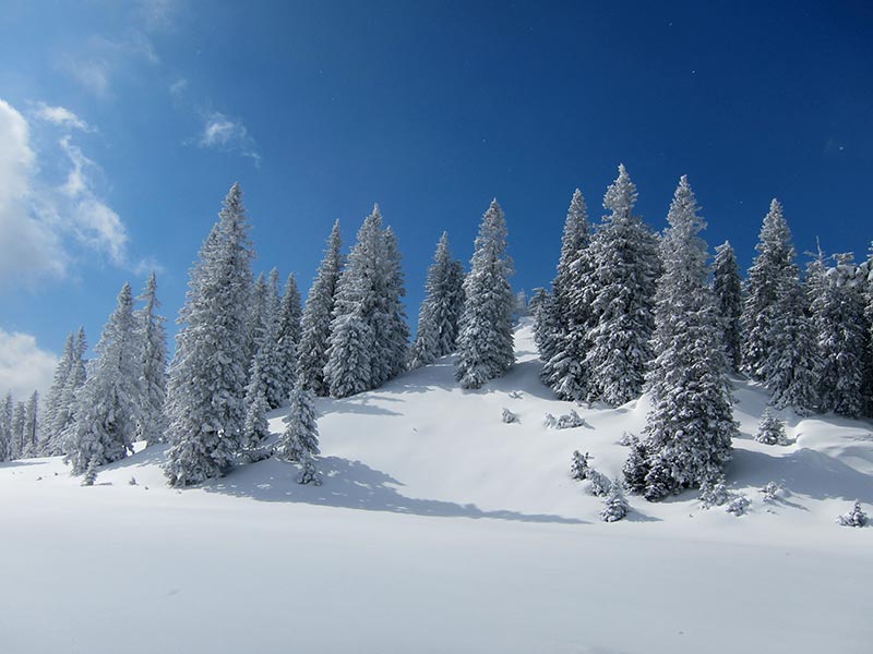 Kuhschneeberg